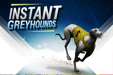 Instant Greyhounds