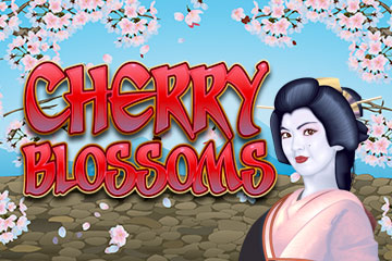 Cherry Blossom