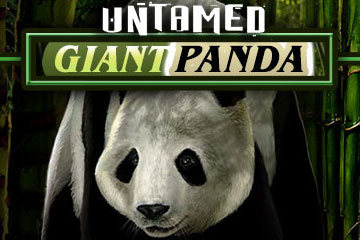 Untamed - Giant Panda